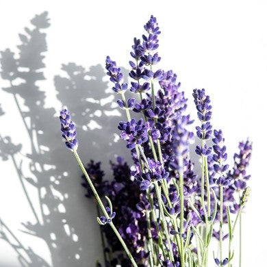 3 Schritte für mehr Entspannung im Alltag