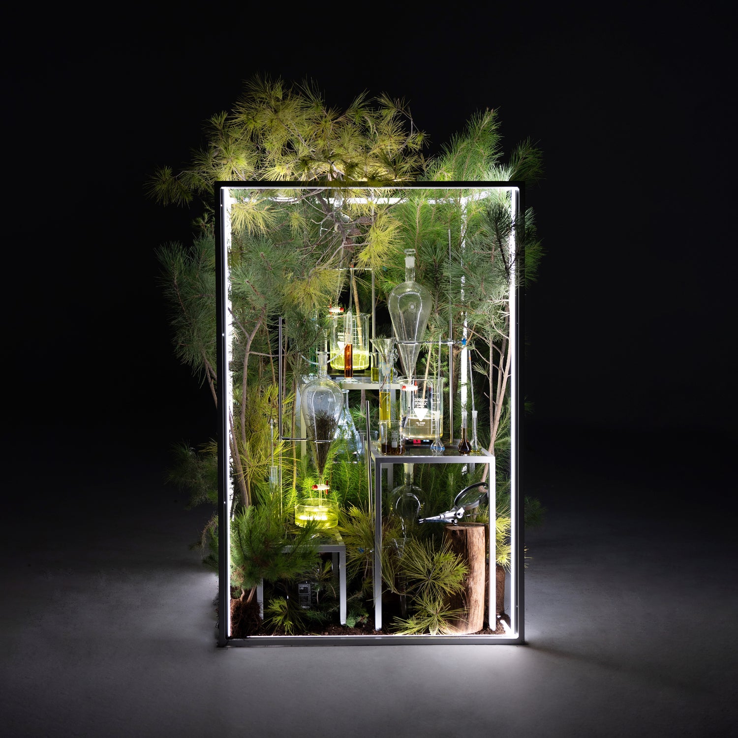 BIld Kiefer in Reagenzglas